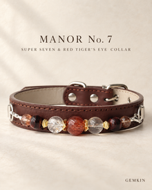GEMKIN MANOR No. 7 Super Seven and red tiger’s-eye leather dog collar