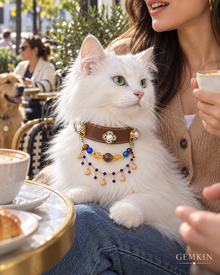 Cat wearing the GEMKIN Cobalt Heirloom crystal chain collar at a café