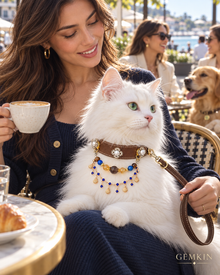 Cat wearing the GEMKIN Cobalt Heirloom crystal chain collar with matching brown leash