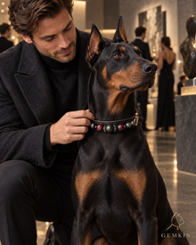 OBSIDIAN ROYALE collar worn by a Doberman with a man at an evening event