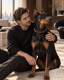 OBSIDIAN ROYALE collar worn by a Doberman with a man at home