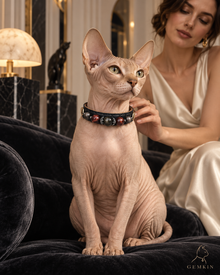 OBSIDIAN ROYALE collar worn by a Sphynx cat with a woman